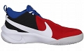 Buty Nike Team Hustle D 10  